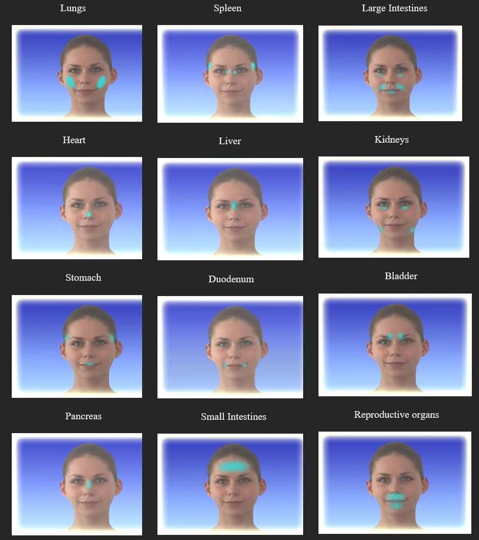 Auramed Biopulsar Reflexograph® Биопулсар Рефлексограф Устройство