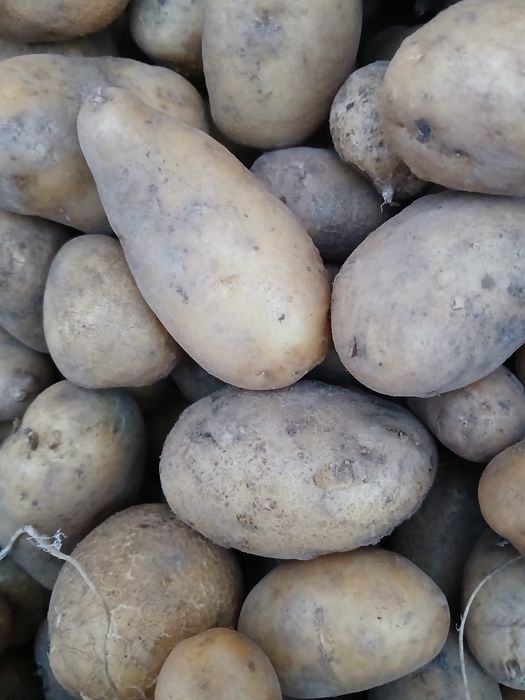 Vand cartofi pt animale