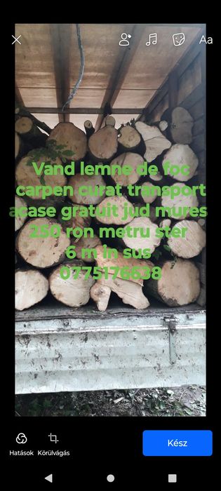 Lemne de foc carpen sí fag