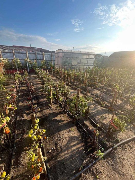 Продам  дом в городе Тобол