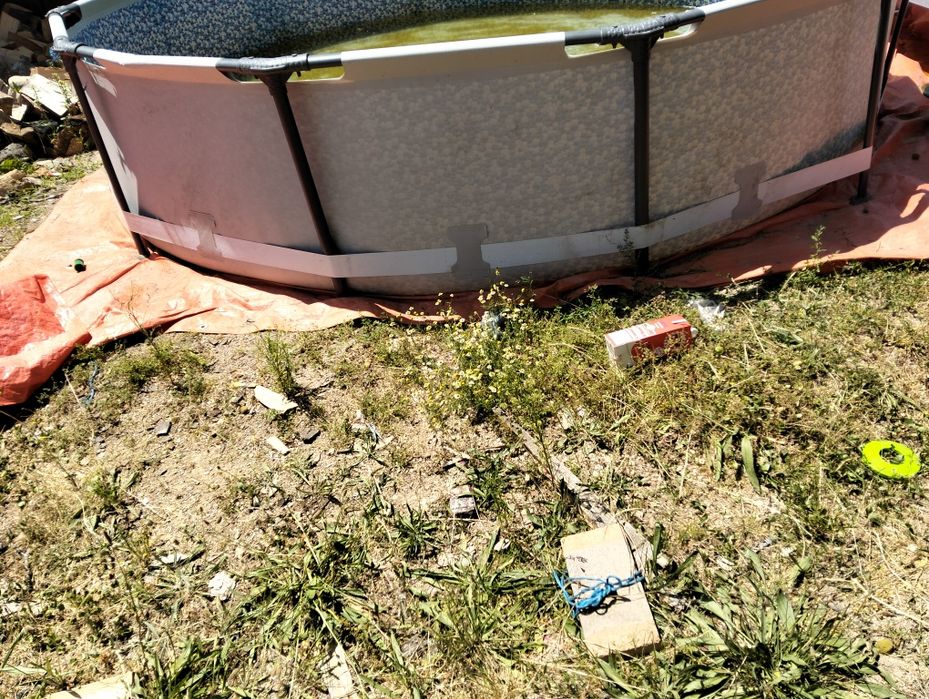 Copi care se distrează în pișchină