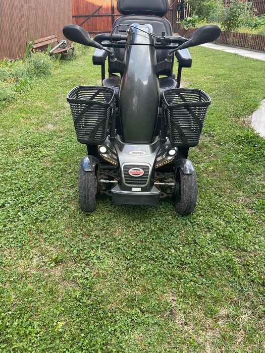 Carucior/scuter/carut Electric Handicap/persoane cu Dizabilitati