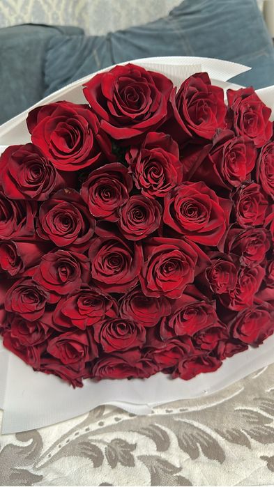 Продам 51 розу. Голландские. Свежие. 15.000тг