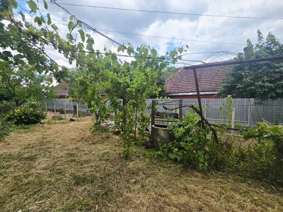 Casa de vanzare Andrei Muresanu
