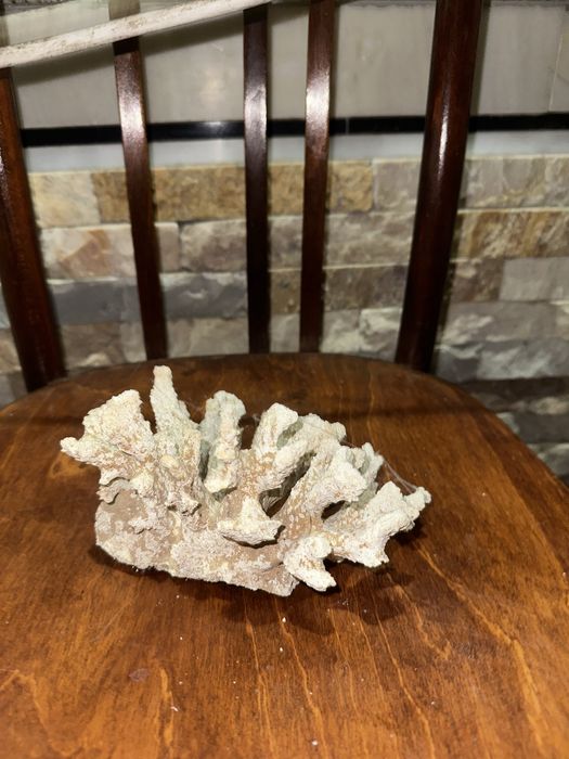 Akvarium sotiladi xolati zoʻr xamma narsasi bor baliq filter toshlari