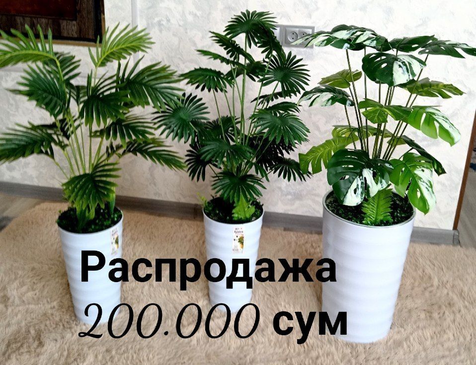Суний гуллар, искусственные цветы и растения