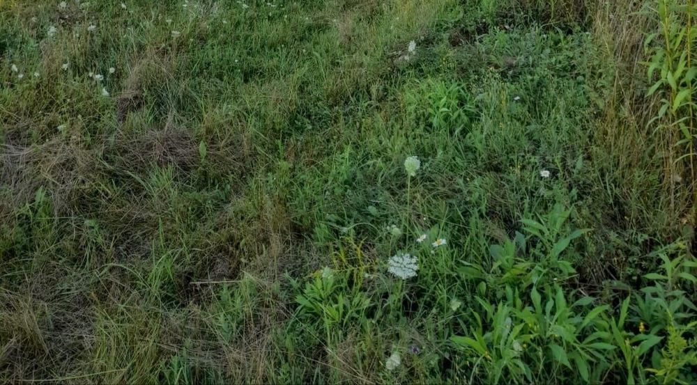 Teren Extravilan Huedin 39400mp