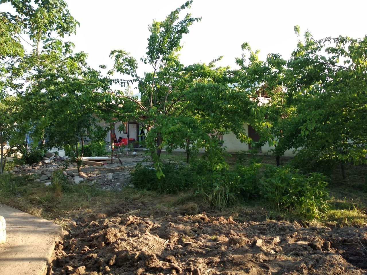 Продажа дачного участка возле парка Янги Узбекистан, Янги базор