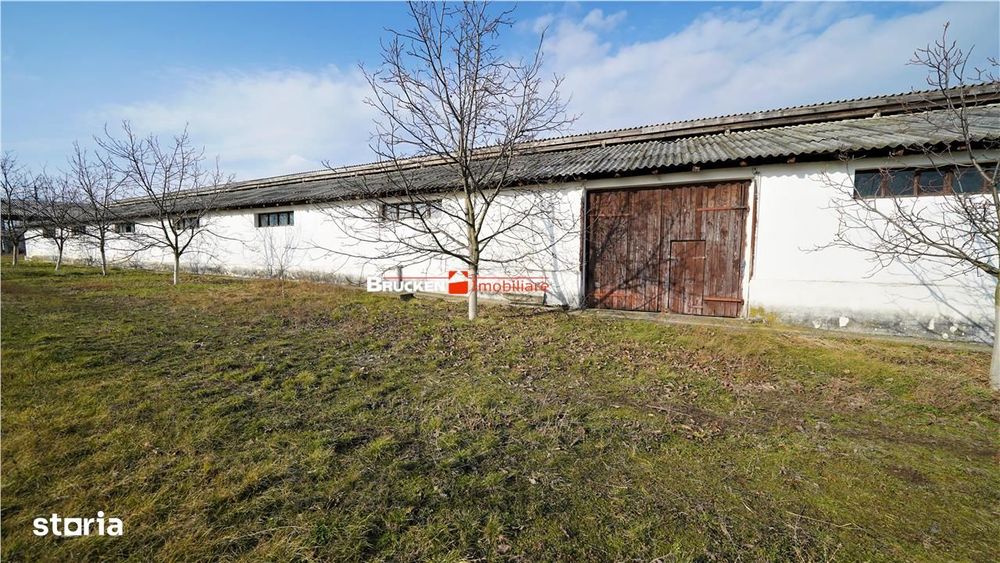 Micro-Ferma + Casa In Voivozi - Bihor