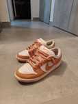 Nike Dunk Pro Light Coniac