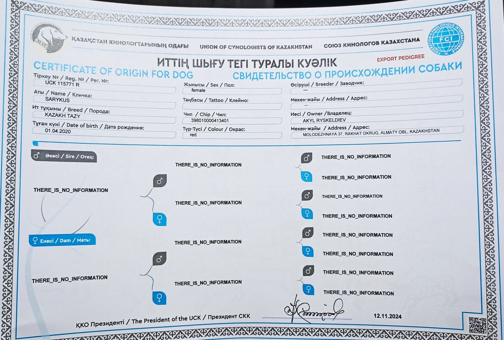 Тазы кушік щенки тазы