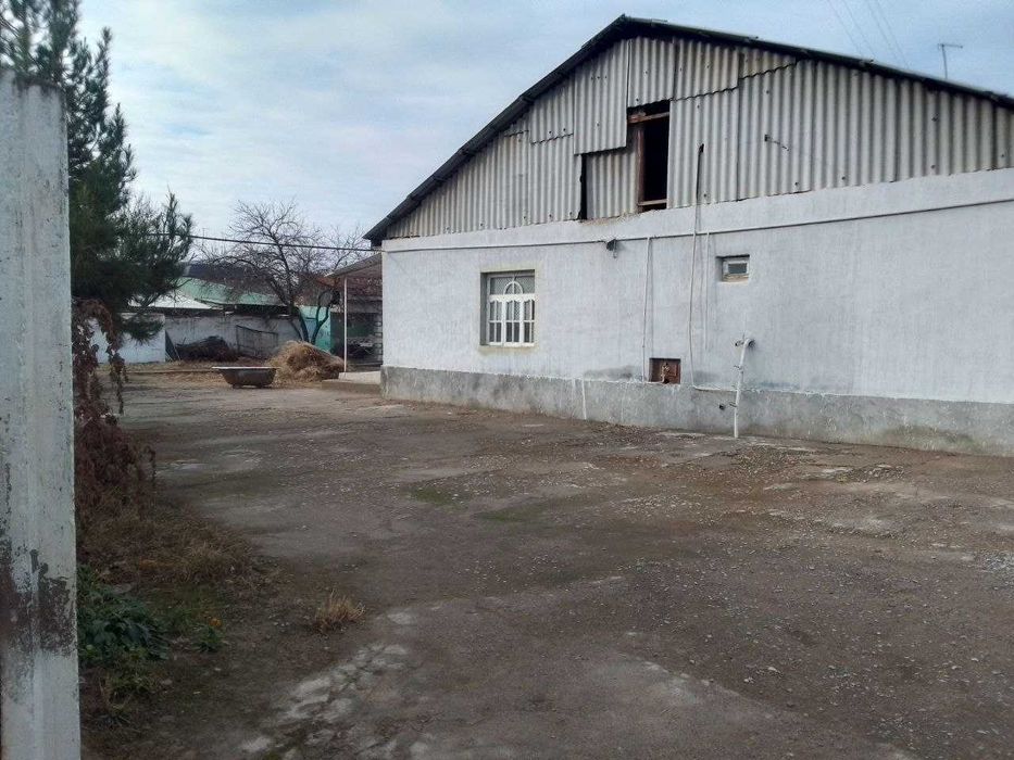 Тошкент вилояти Яангйол туманида 30 сотихди ферма сотилади