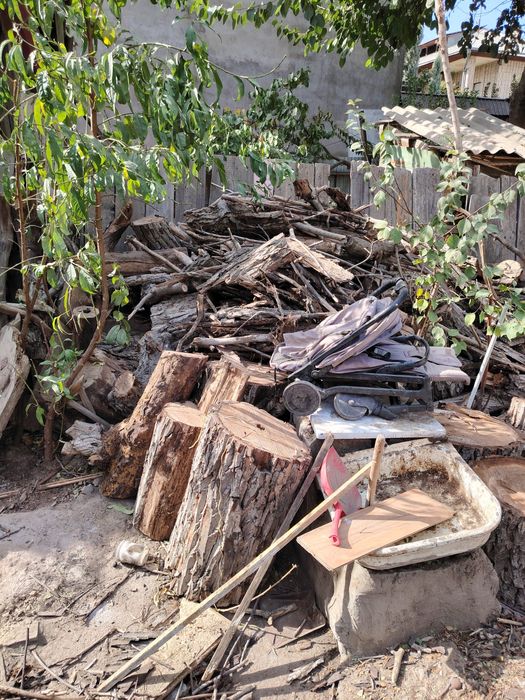 Орешина дрова срубленная