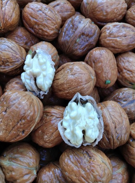 Орехови ядки Орехови ядки