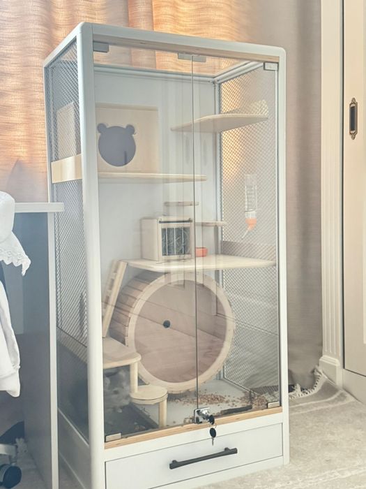 Шиншилла, прививки сделаны,отдам с клеткой,кастрированный