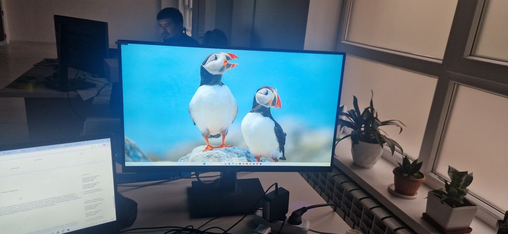 Маниторы очень хорошие новые есть 50 шт по 56000т