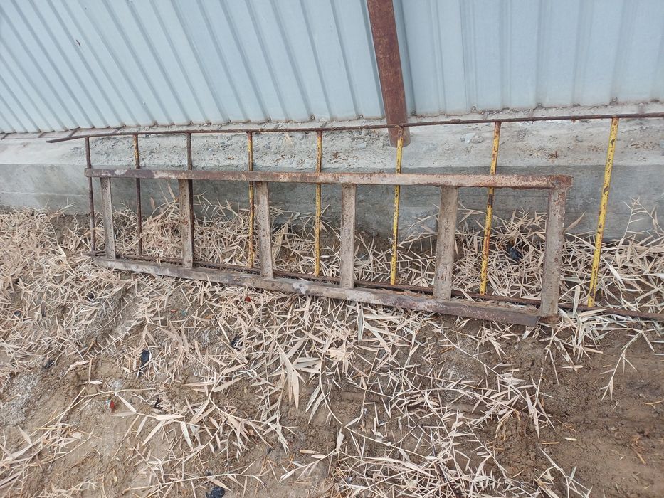 Стремянка (саты)