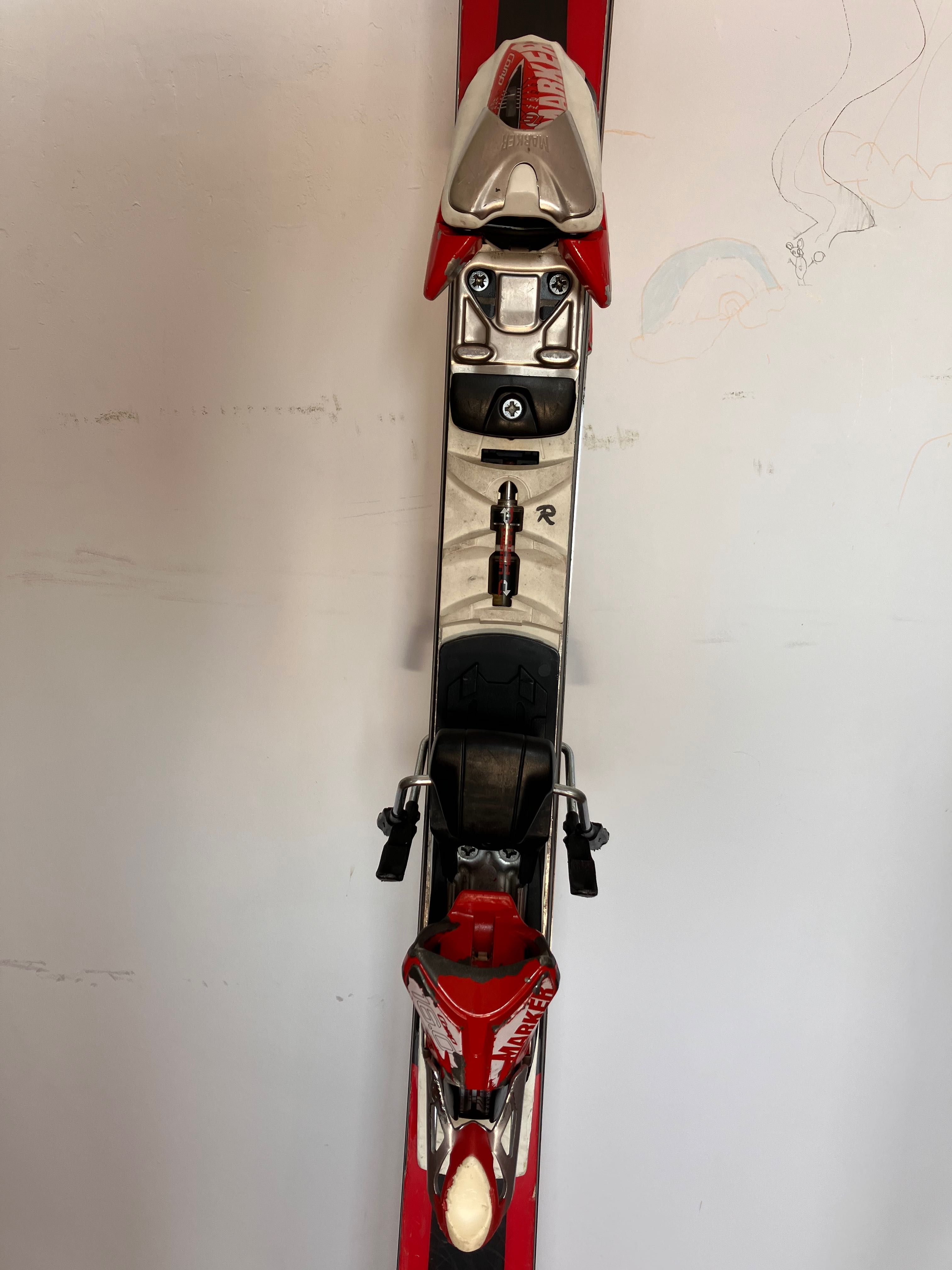 Skiuri VOLKL RaceTiger GS 175 cm