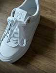 Tommy filfiger dama