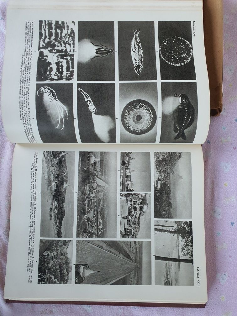 Книга Большая 640стр. Энциклопедия