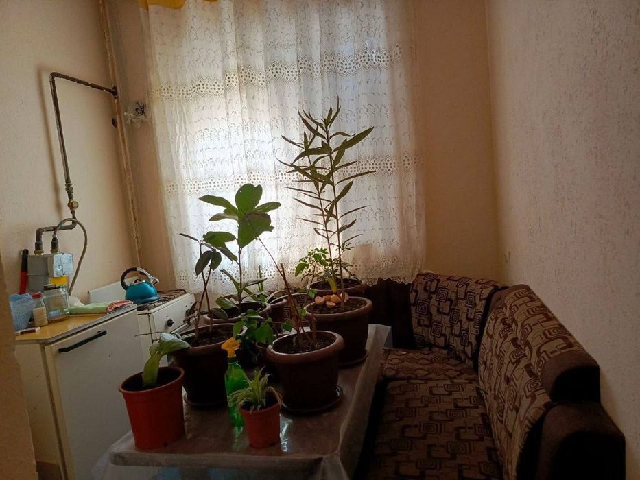 Shayxontoxur tumani Chorsu yaqinida ijaraga kvartira