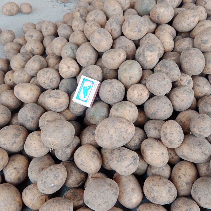 Картошка мешок 5мын