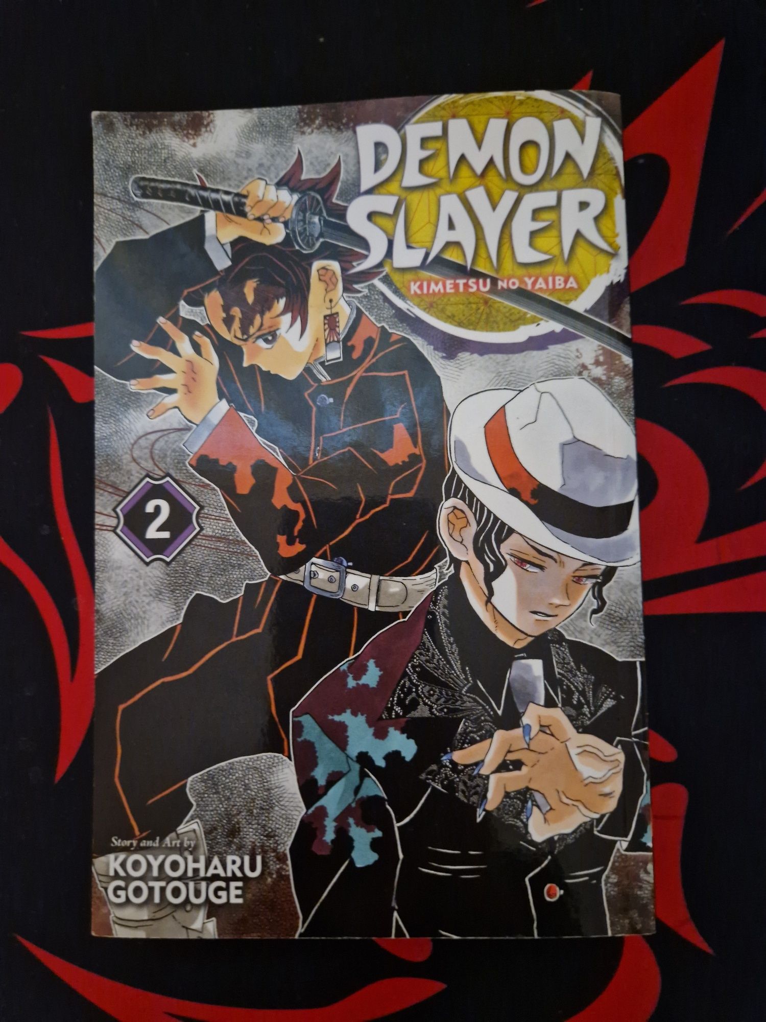 Demon slayer vol 2