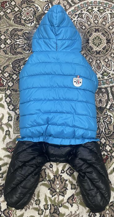 Одежда для собак