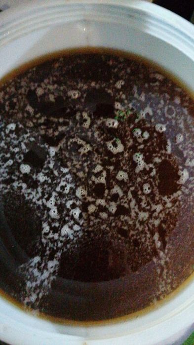 Miere de flori de baltă - polifloră cristalizată