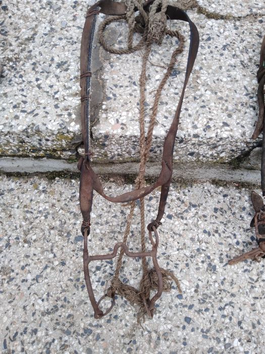 Юлар и Гем за магаре два броя. По 15 лв за брой