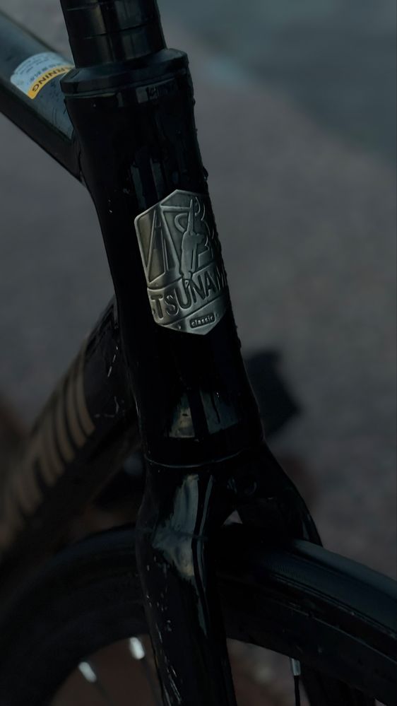 Tsunami snm100 fixed gear