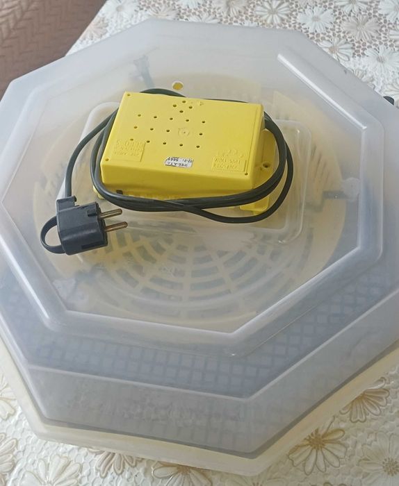 Инкубатор клео 5