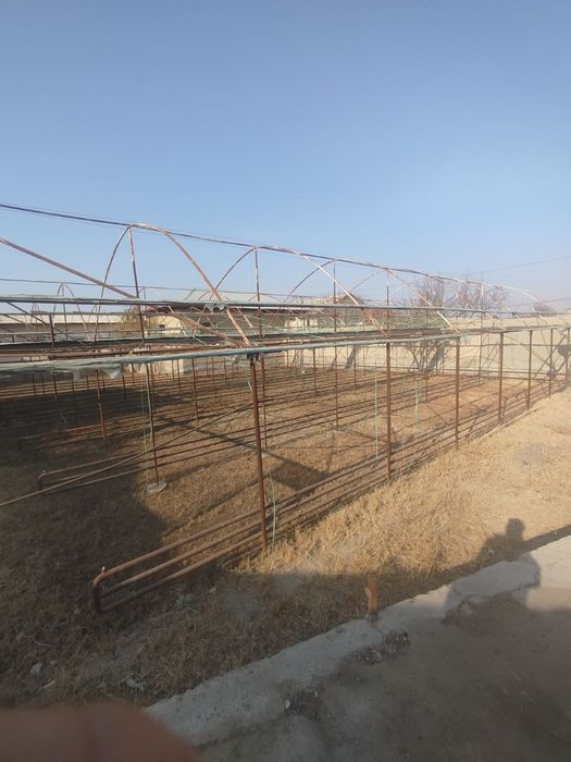 Parnik tayyor biznes 4 sotix atapleniyasi ham bor