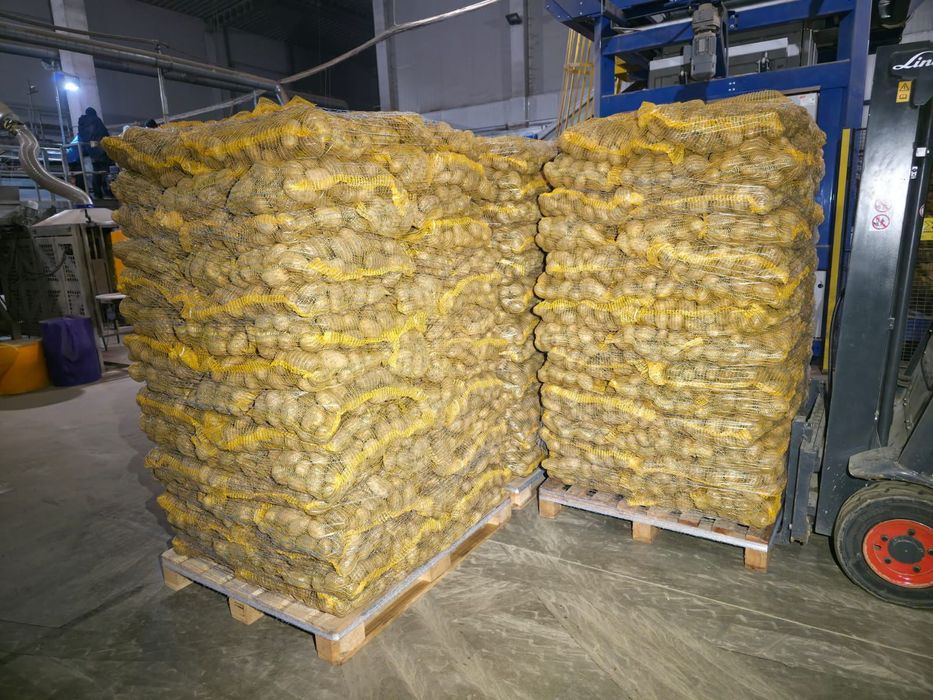 Vând Mere și Cartofi