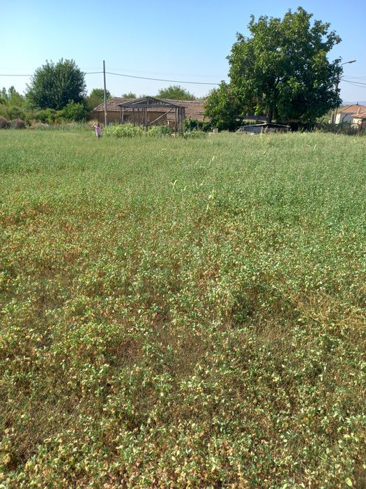 Продава се УПИ в село Генералово