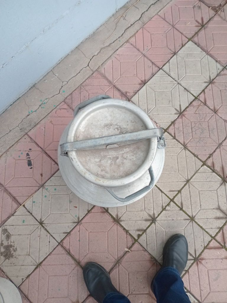 Продаю флягу молочная