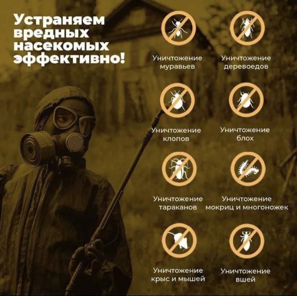 Dezinfeksiya Xizmati 100% Дезинфекция