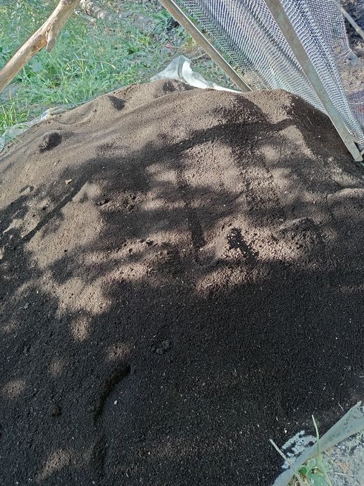 Biyoʻgoʻms bor    Yangiyoʻl 2-kalelin