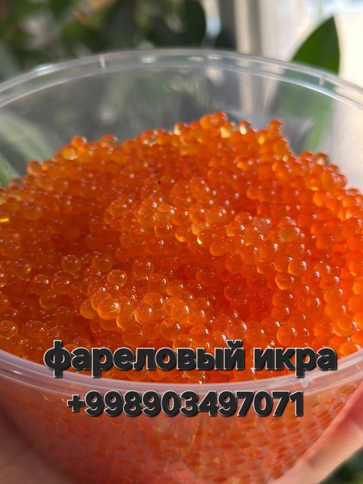 Икра Фарели—Икра Кета