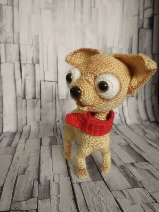 крошка маленький чихуахуа