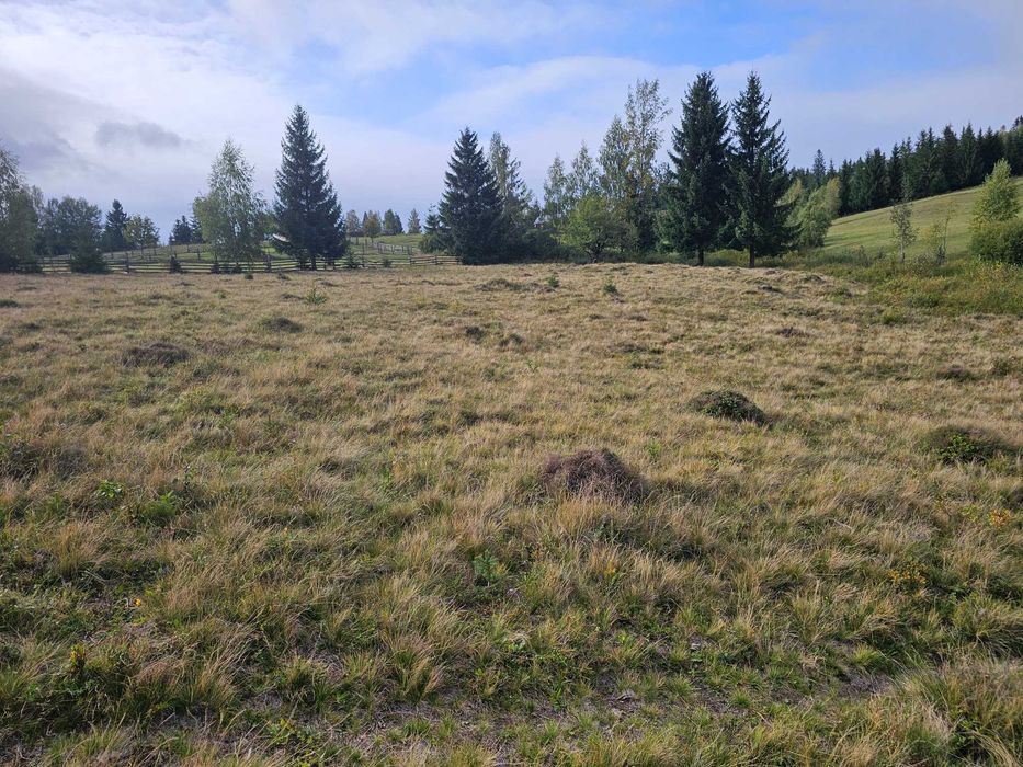 Teren intravilan de vanzare in Bucovina Fundu Moldovei zona Delut