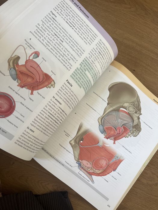 Grays Anatomy for Students