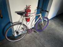Bicicleta fixie