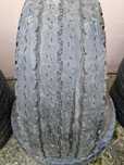 Anvelope BRIDGESTONE 225/70/15C
