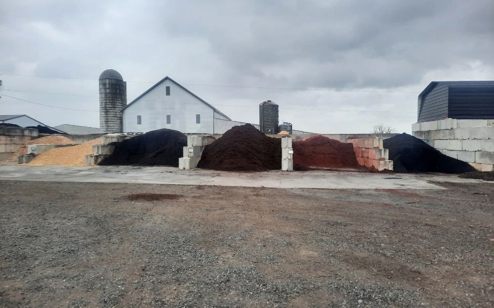 Servicii peisagistica, întretinere,tăieri pomi fructiferi/arbust/flori