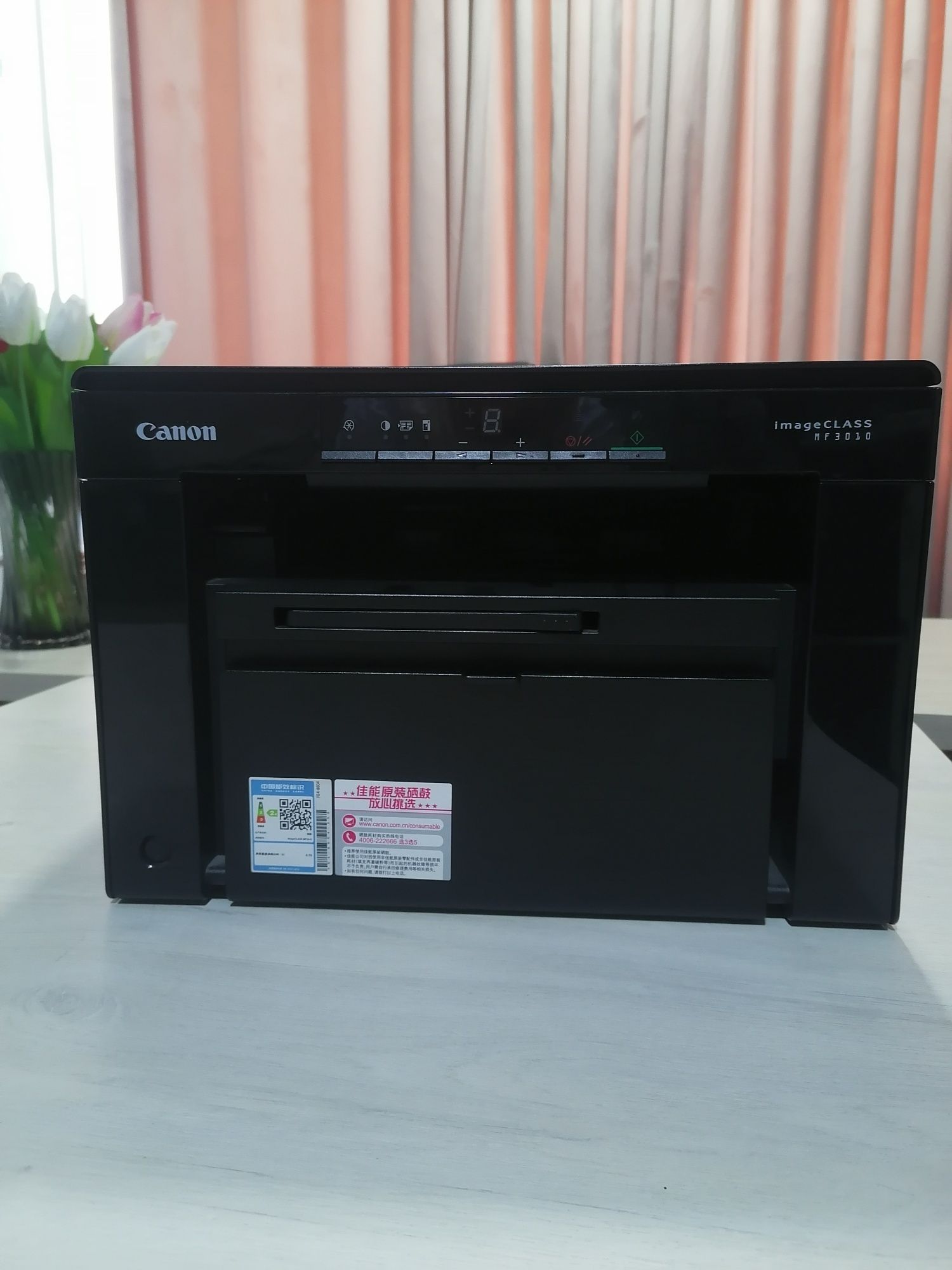 Printer canon 3010