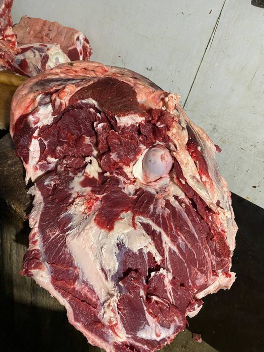 Ет мясо фарш говядина конина баранина соғым