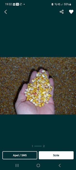 De vanzare porumb boabe