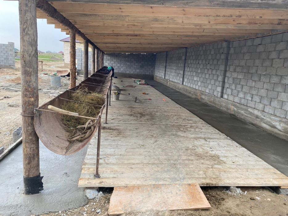 Жем-шөм салатын астау сатылады.