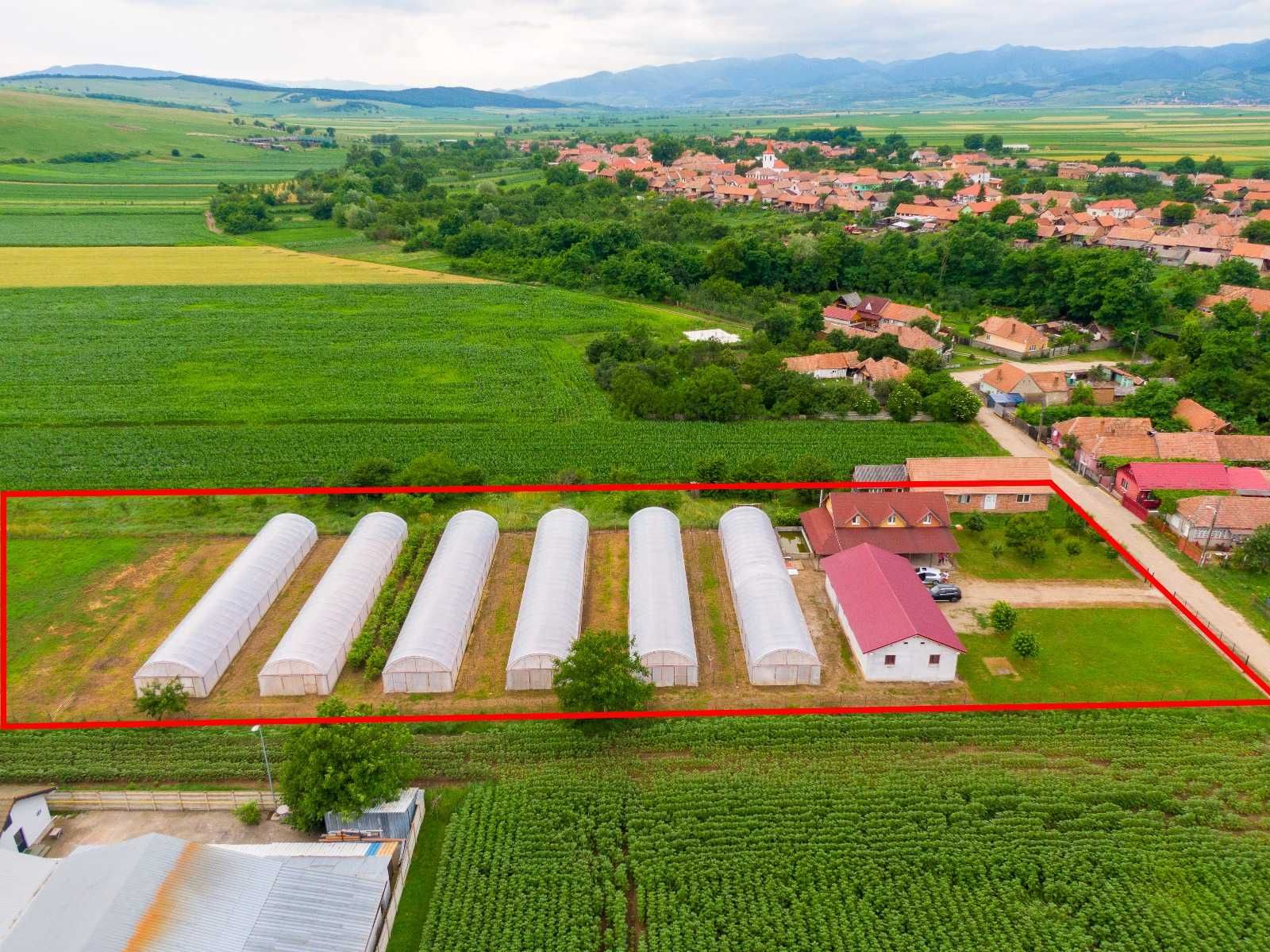 Spre vânzare casa și ferma
